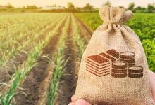 amundi fonds agri agro 1120x480 c default Агро несие 2025 Қазақстан: Фермерлер мен Агробизнеске Мүмкіндіктері мен Перспективалары